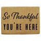 Thankful Door Mat