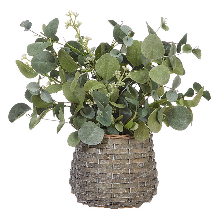 Eucalyptus Arrangement