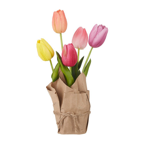 10" potted tulip mix
