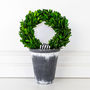 Boxwood Potted Wreath