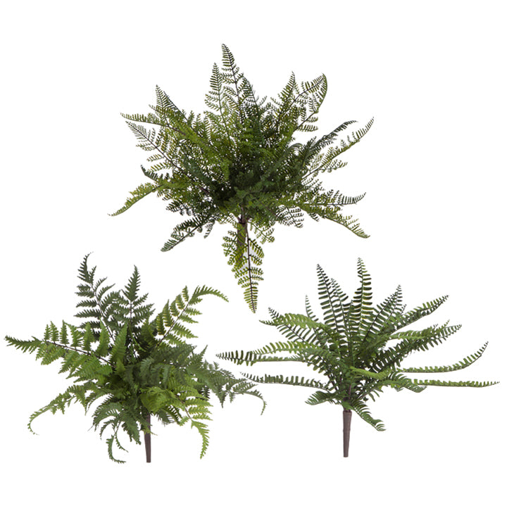 15" Fern Bush