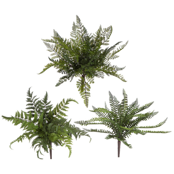 15" Fern Bush