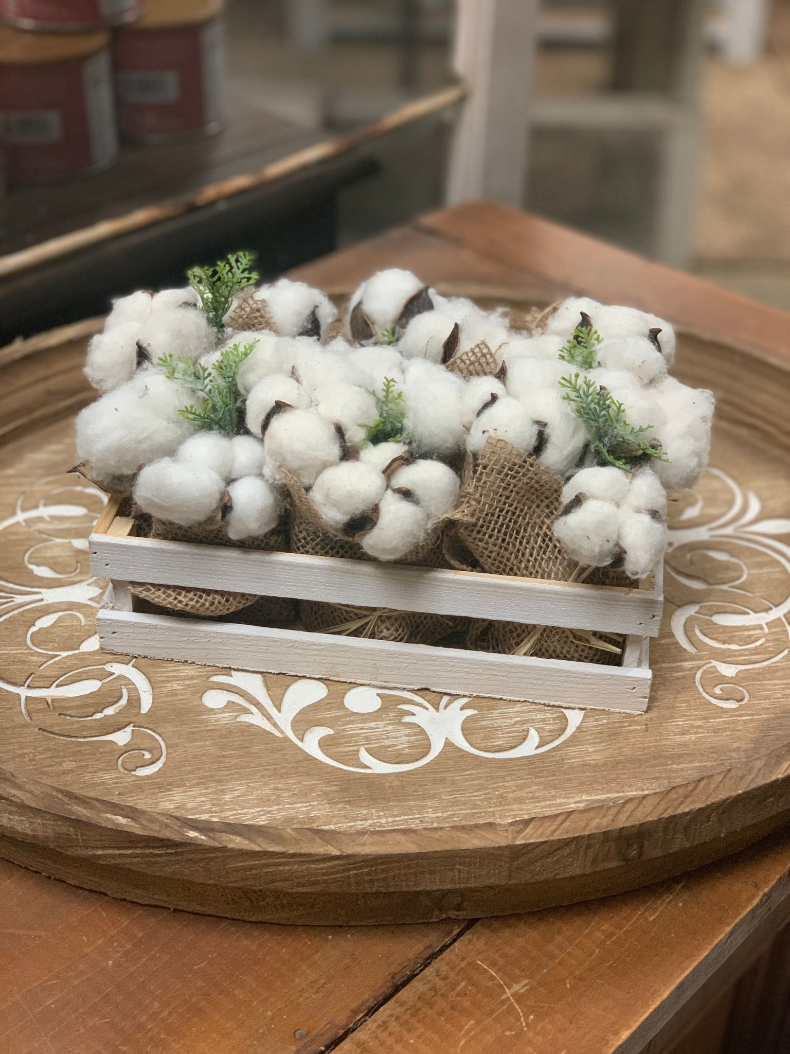 Potted Cotton