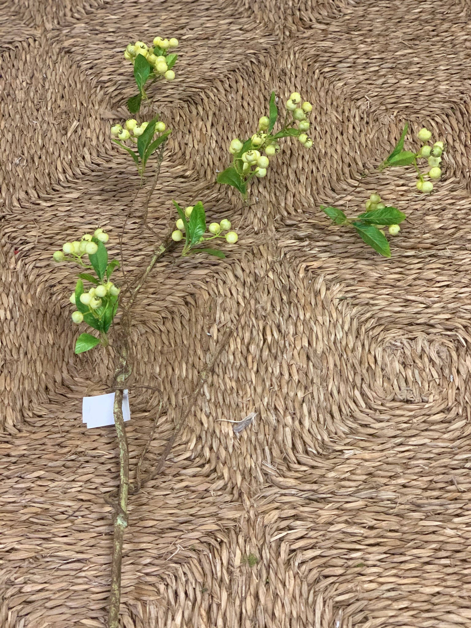 Berry w/ Leaves Spray