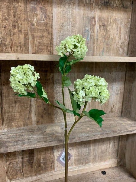 Snowball Stem