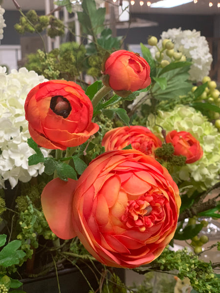 Ranunculus Stem