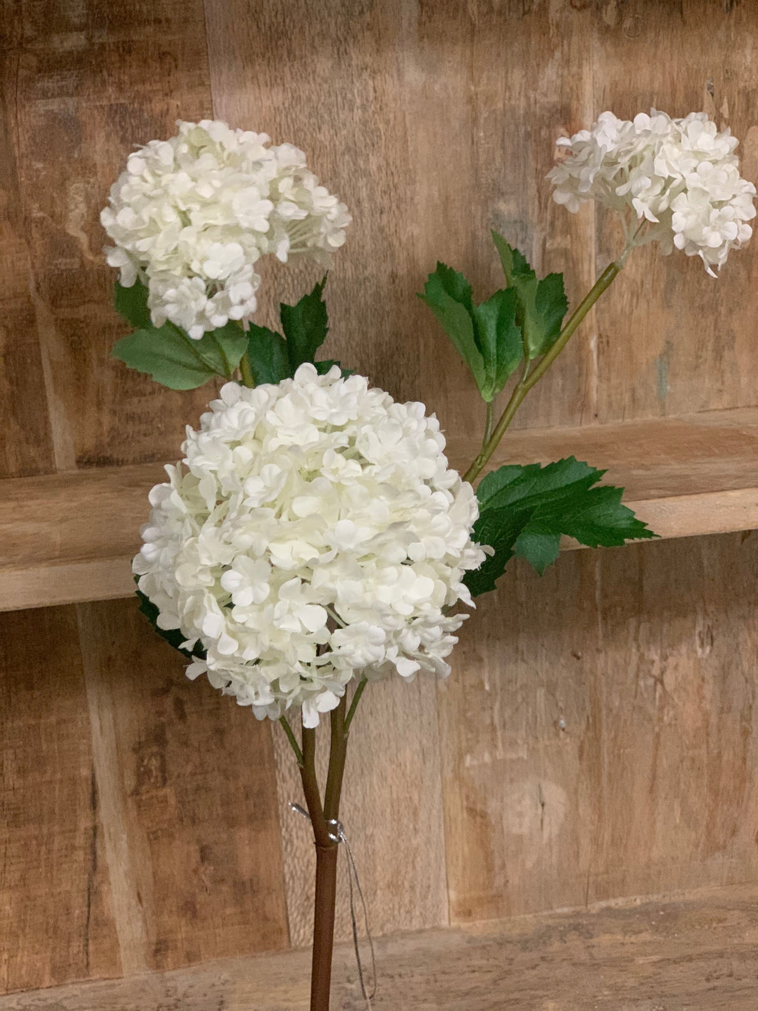 Snowball Stem