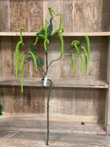 Amaranthus Spray