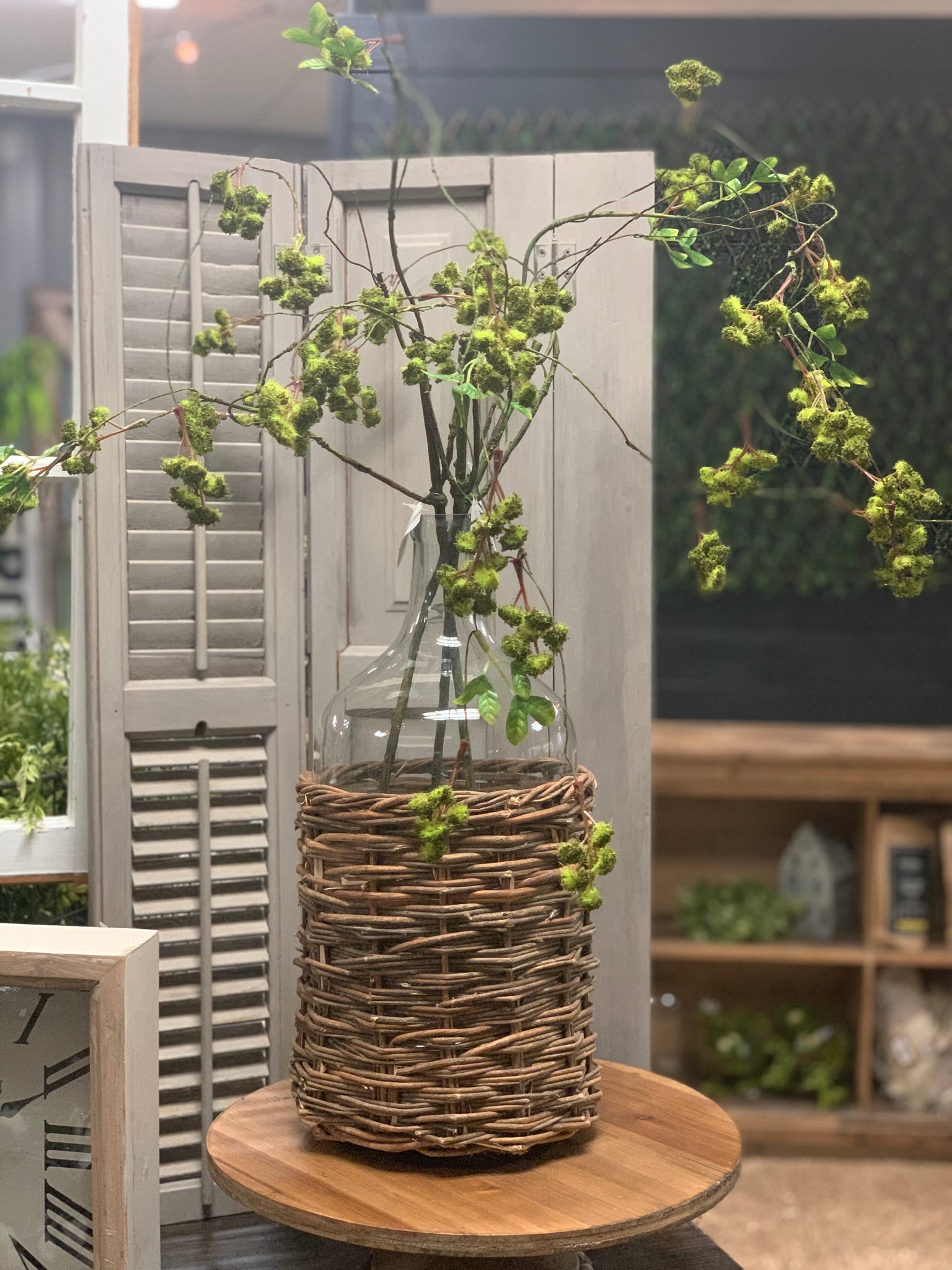 Hanging Irish Moss Spray