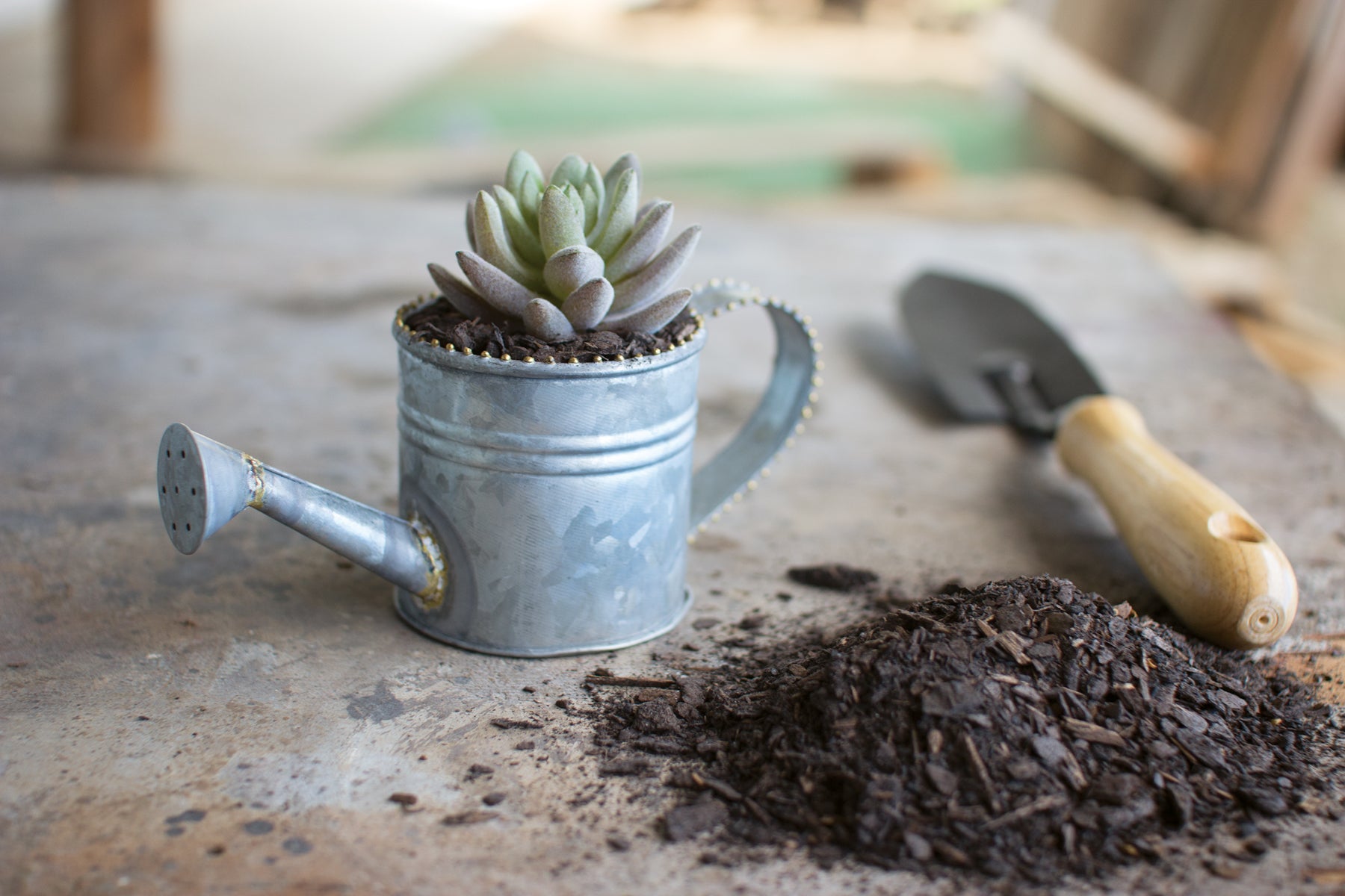 Zinc Miniature Watering Can with Brass Beads