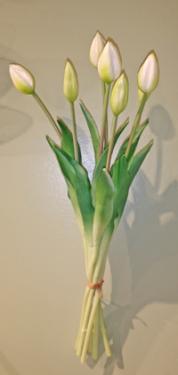 White Tulip Bundle