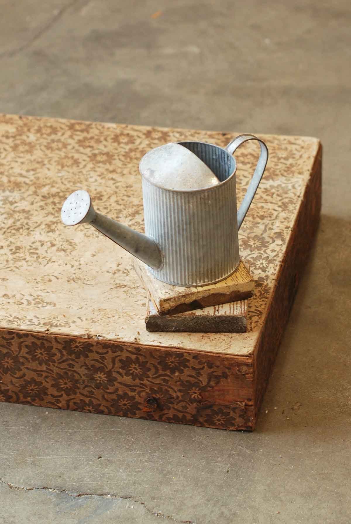 Galvanized Watering Can