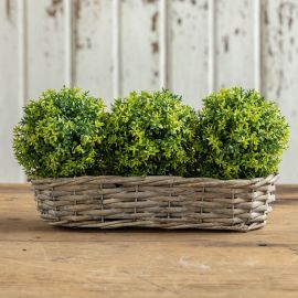 6" Triple Topiary Bush
