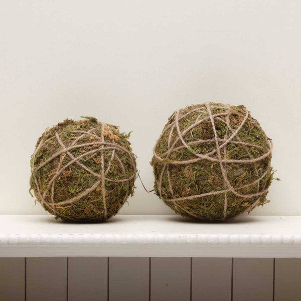 Moss Ball with Twine