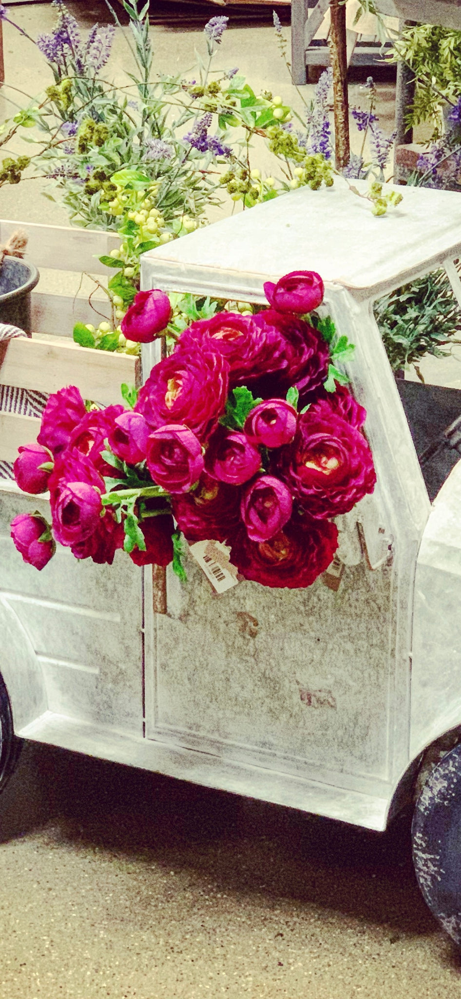 Ranunculus Stem