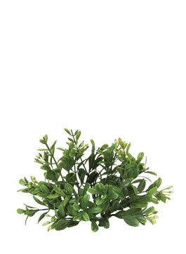 Boxwood napkin Ring set of 4