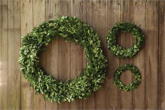 Preserved Boxwood Wreath - MD