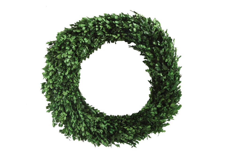 Preserved Boxwood Wreath - LG