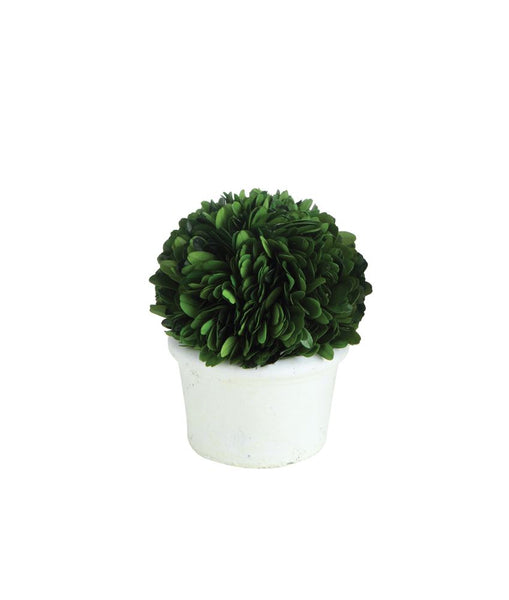 Half Sphere Preserved Topiary