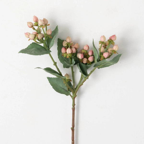 Hypericum Spray
