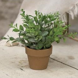 Gatehouse Herb Pot 6"
