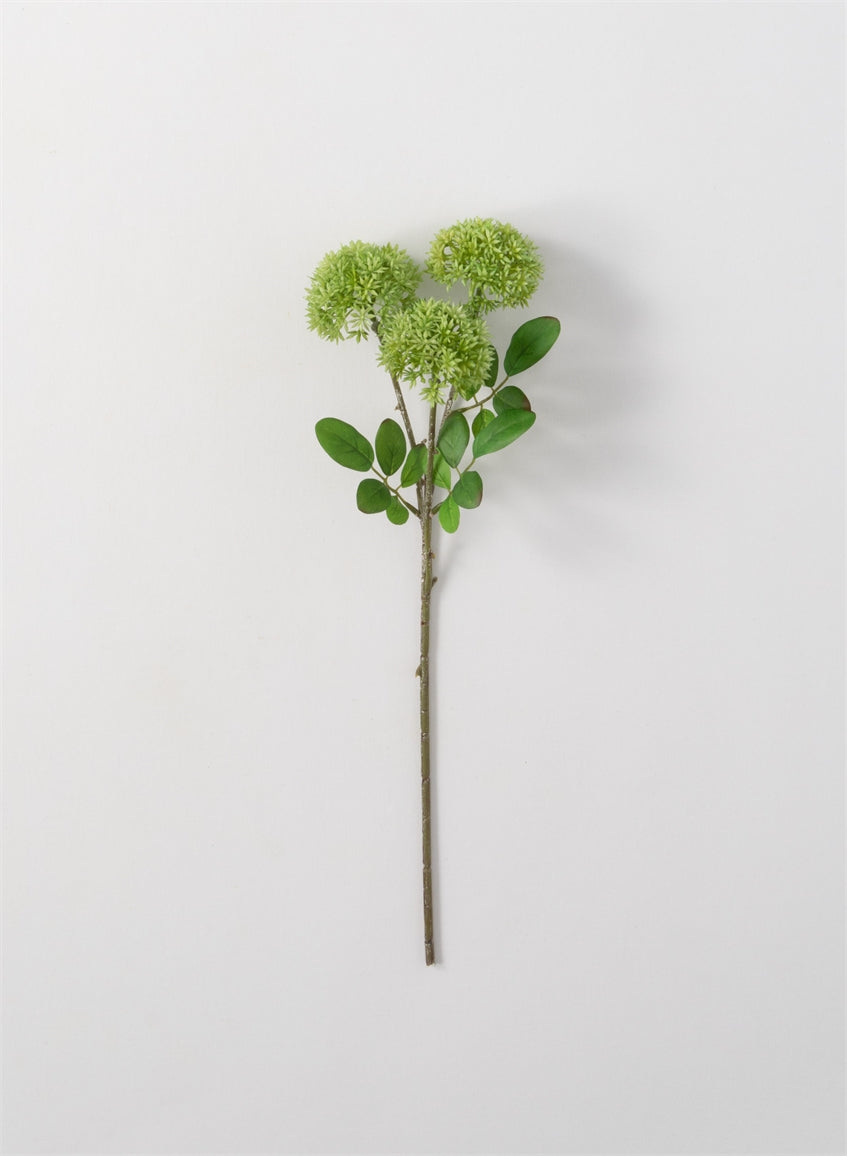 Sedum Spray GREEN