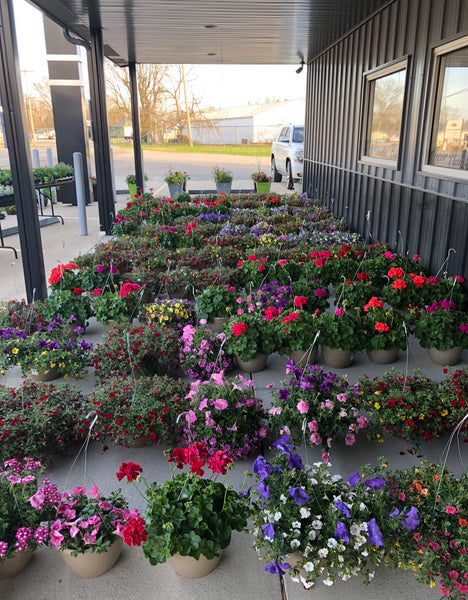Flower Sale Coupon