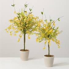 Yellow Wispy Topiary