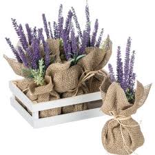 Lavender Tray