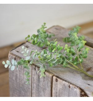 25" Eucalyptus Green Stem
